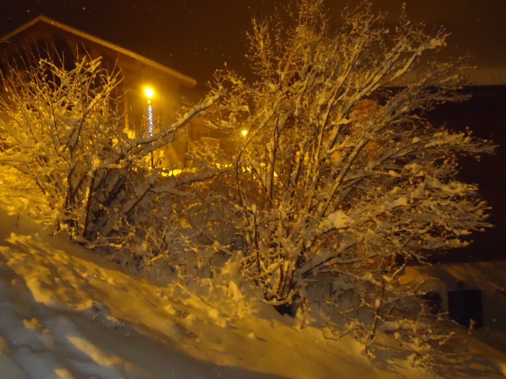 buisson sous la neige Villarlurin