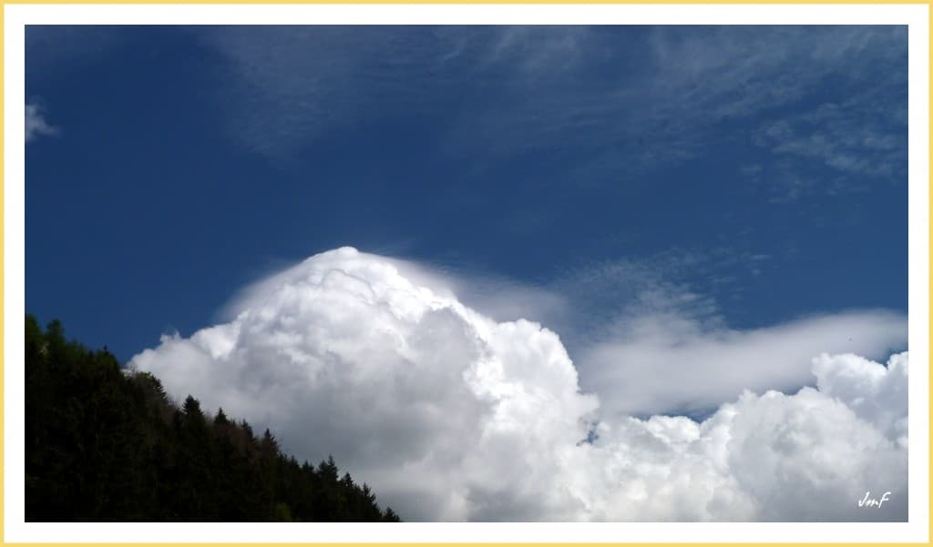 cumulus et pileus