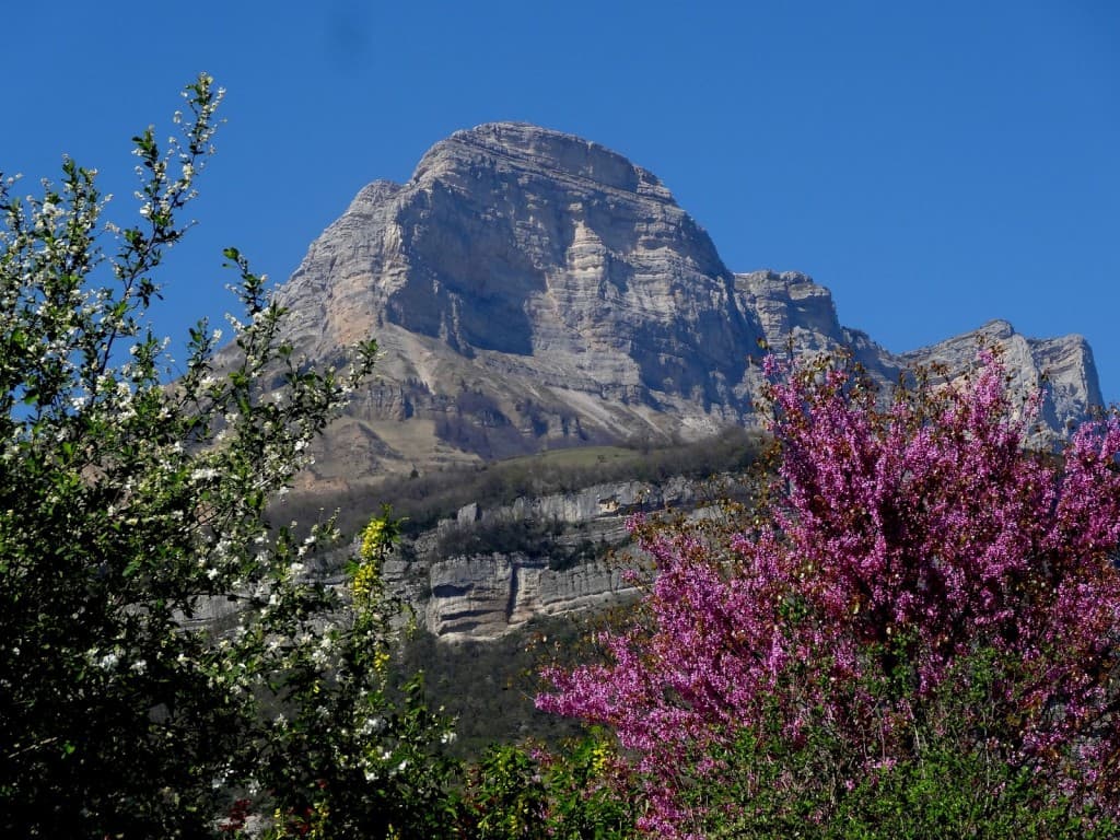 DENT de CROLLES