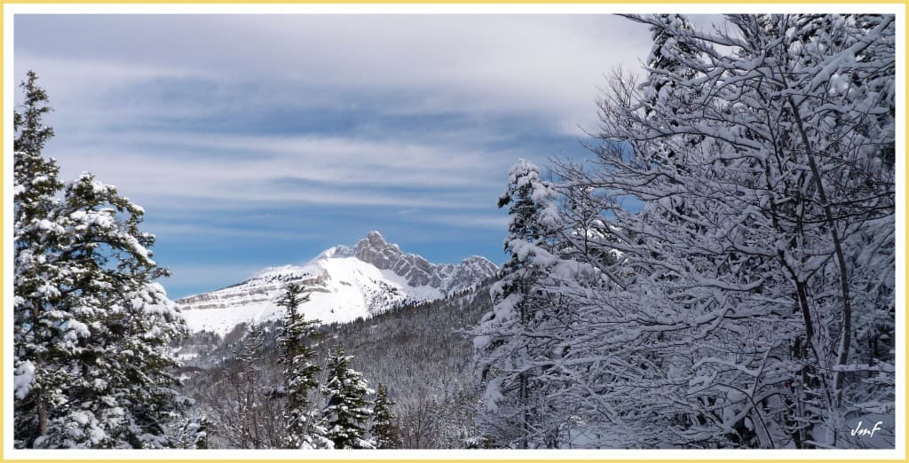 depuis la forêt du Vercors