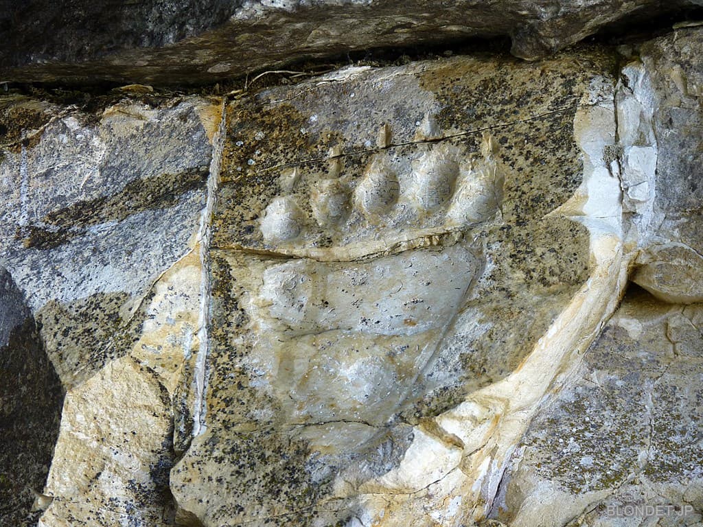 Empreinte de l'Ours au Pas de l'Ours
