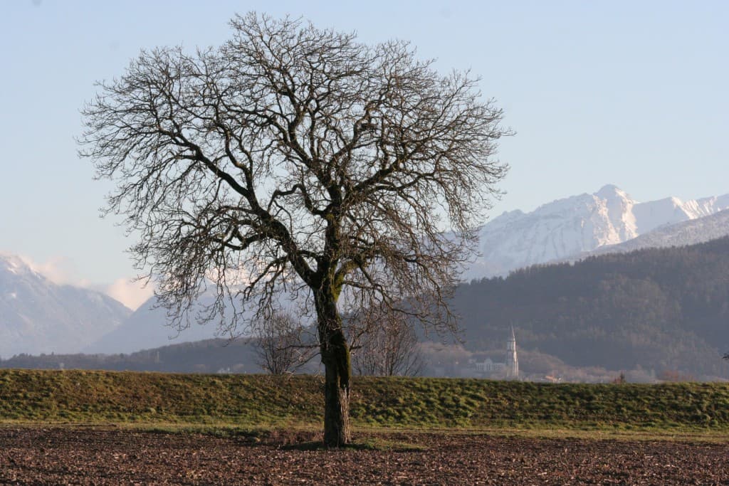 Encore une belle journée(N.M)
