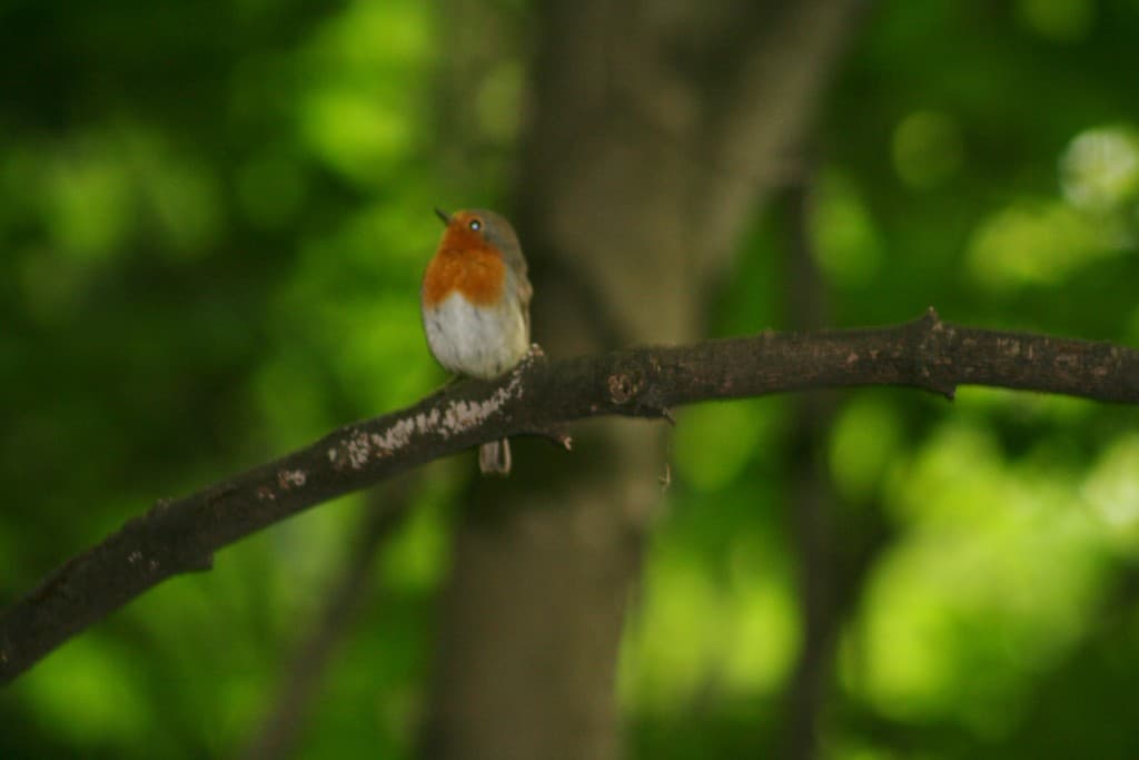 Encore une journée mitigé(N.M)