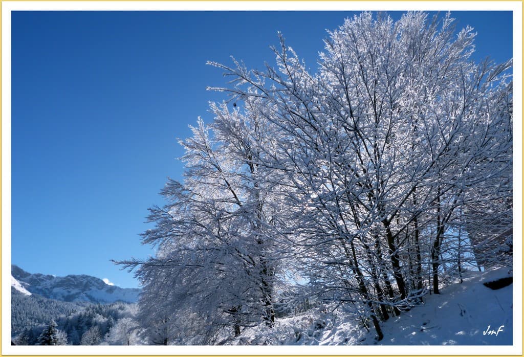 féerie hivernale