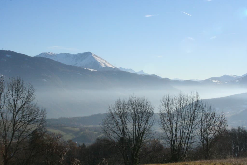 Fraicheur printanière