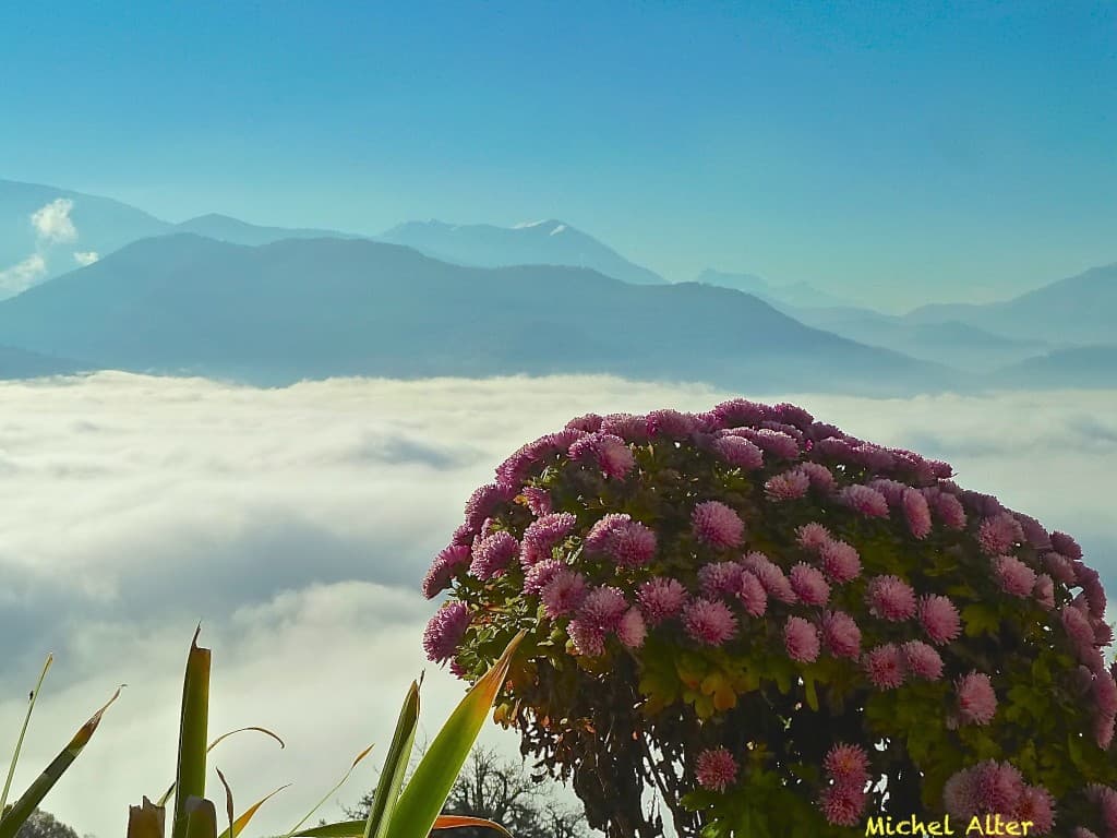 Inversion thermique sur Grenoble