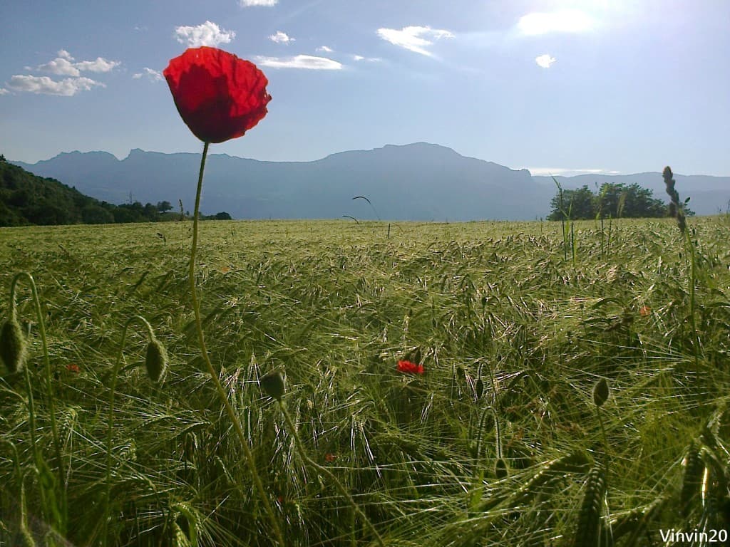 L'été s'installe!