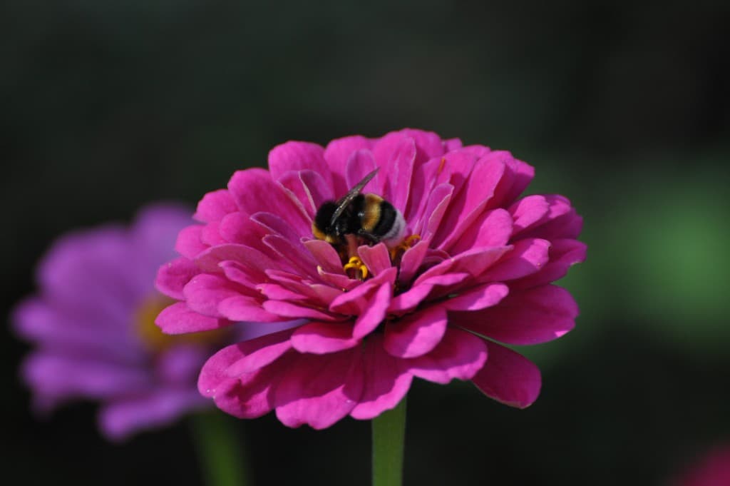 La nature au travail....