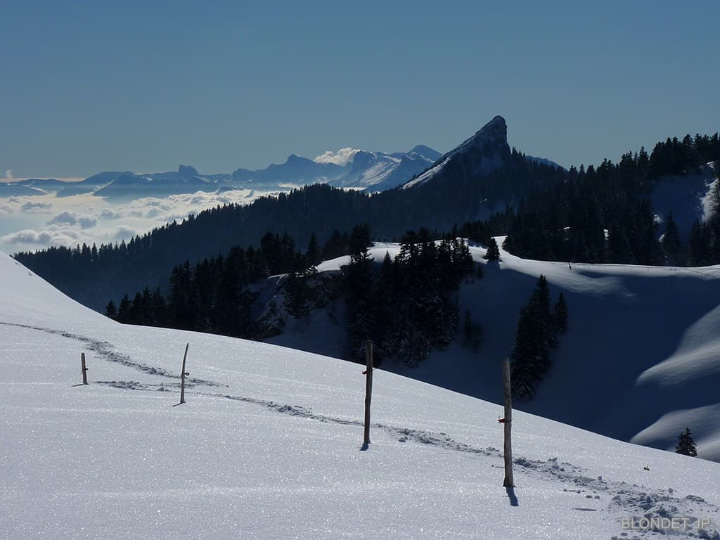 La Pinéa et le Vercors