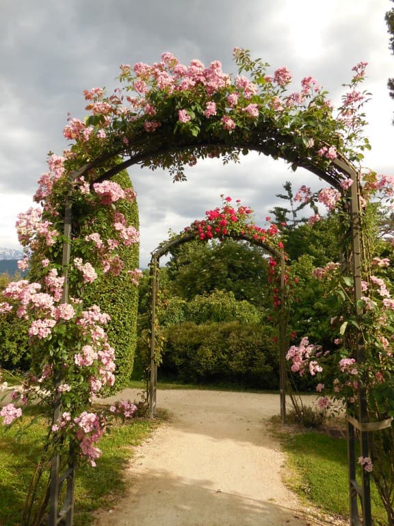 La roseraie du parc du Bachais (FS)