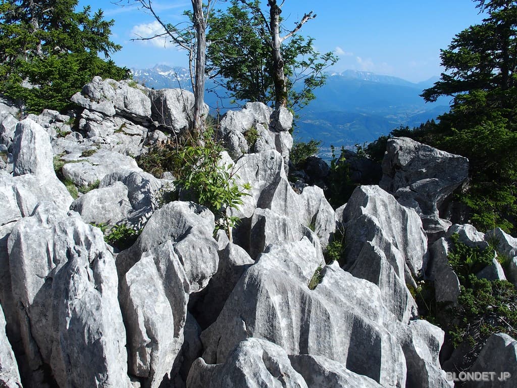 Lapiaz au Roc d'Arguille