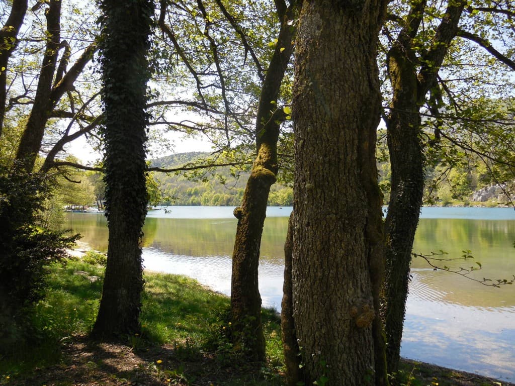 Le lac de Laffrey entre les arbres