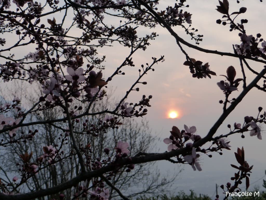 Le lever de soleil dans la pollution