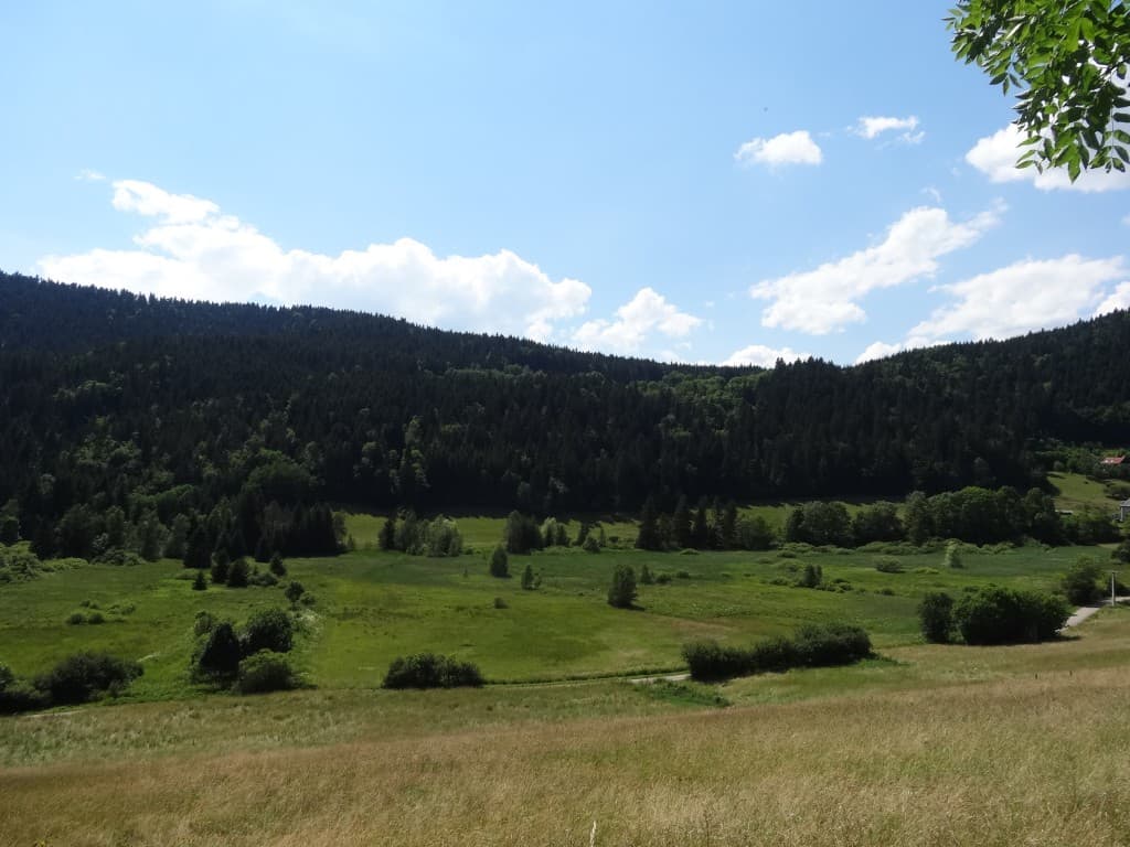 Le marais des Sagnes
