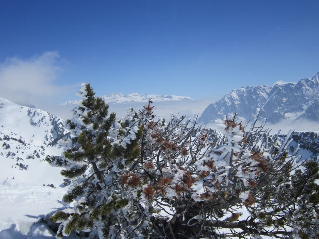Le soleil etait bien au rendez-vous(N.M)