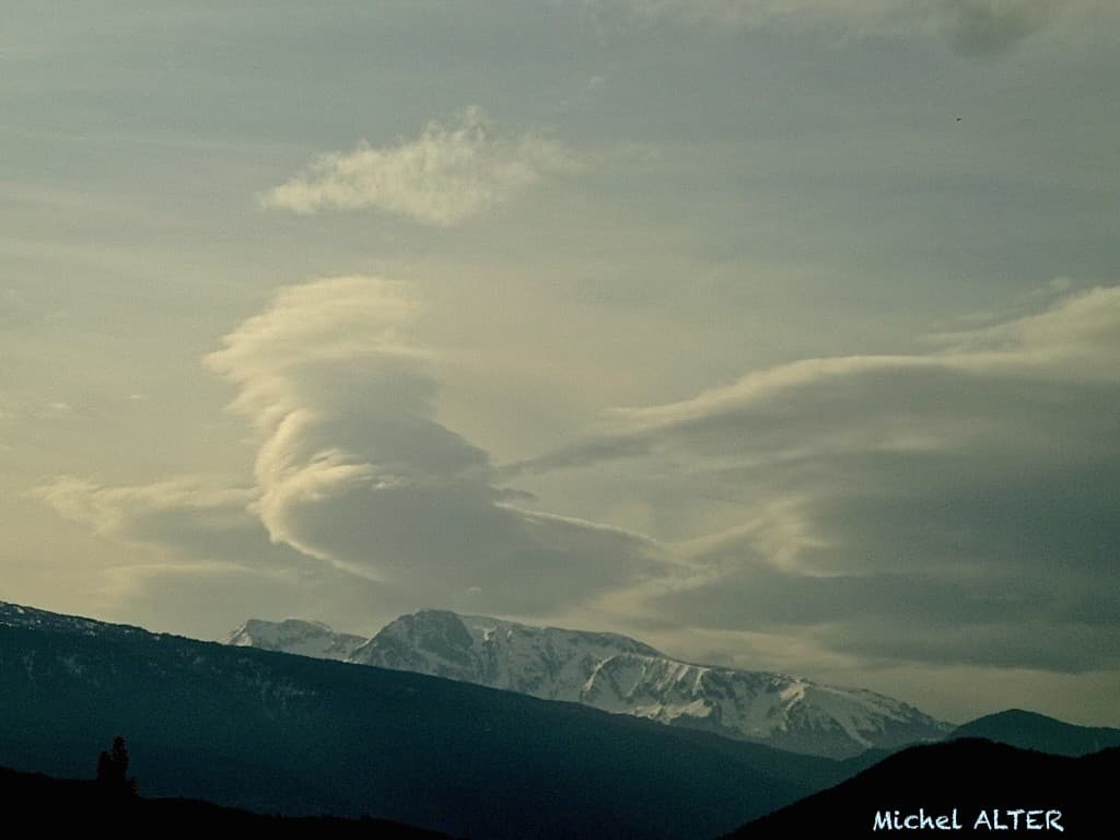 Lenticulaires matinaux