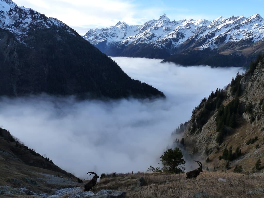 Mer de nuages sur l'Eau d'Olle
