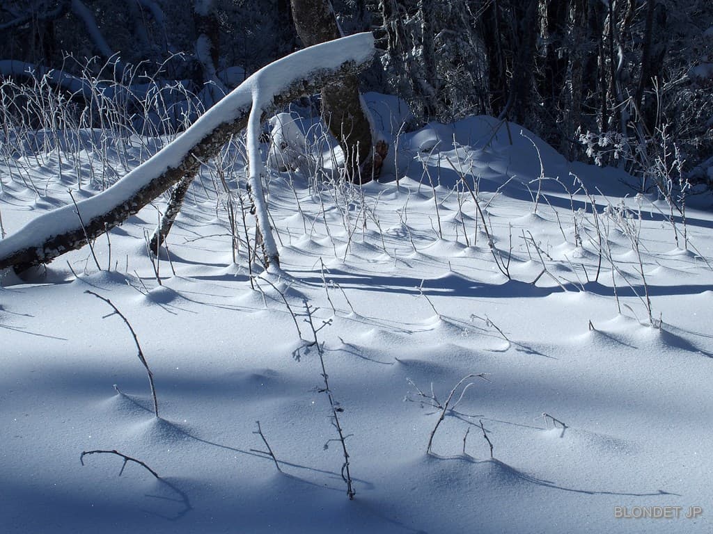 Neige au Montfromage