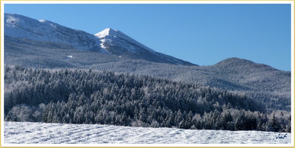 neige fraîche
