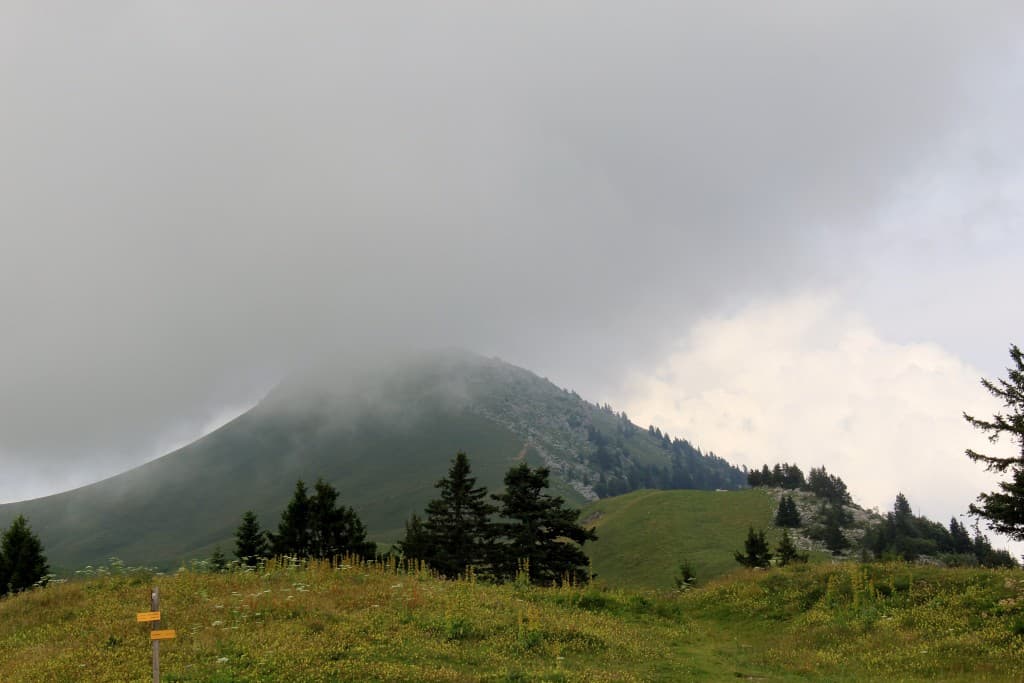 ombrage (phi)