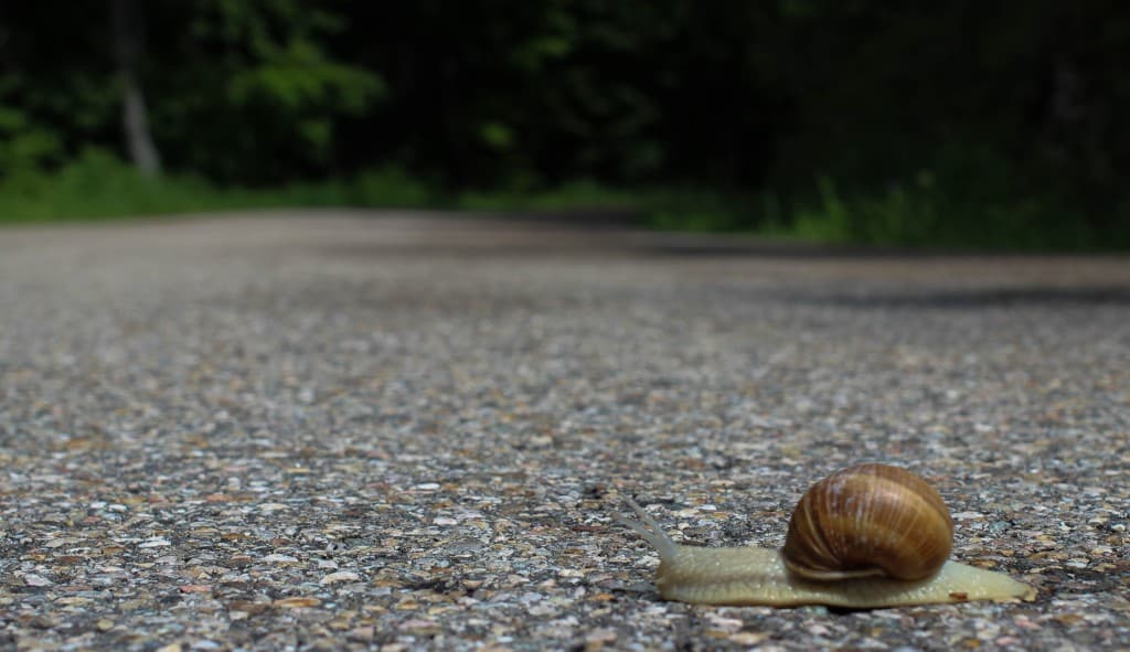 Opération escargot sur la D22