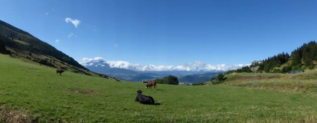 paix des alpages
