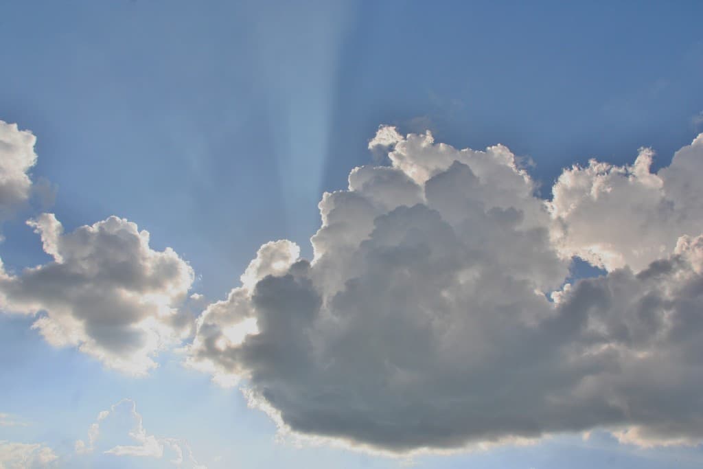 Partie de cache-cache avant l'orage(N.M)