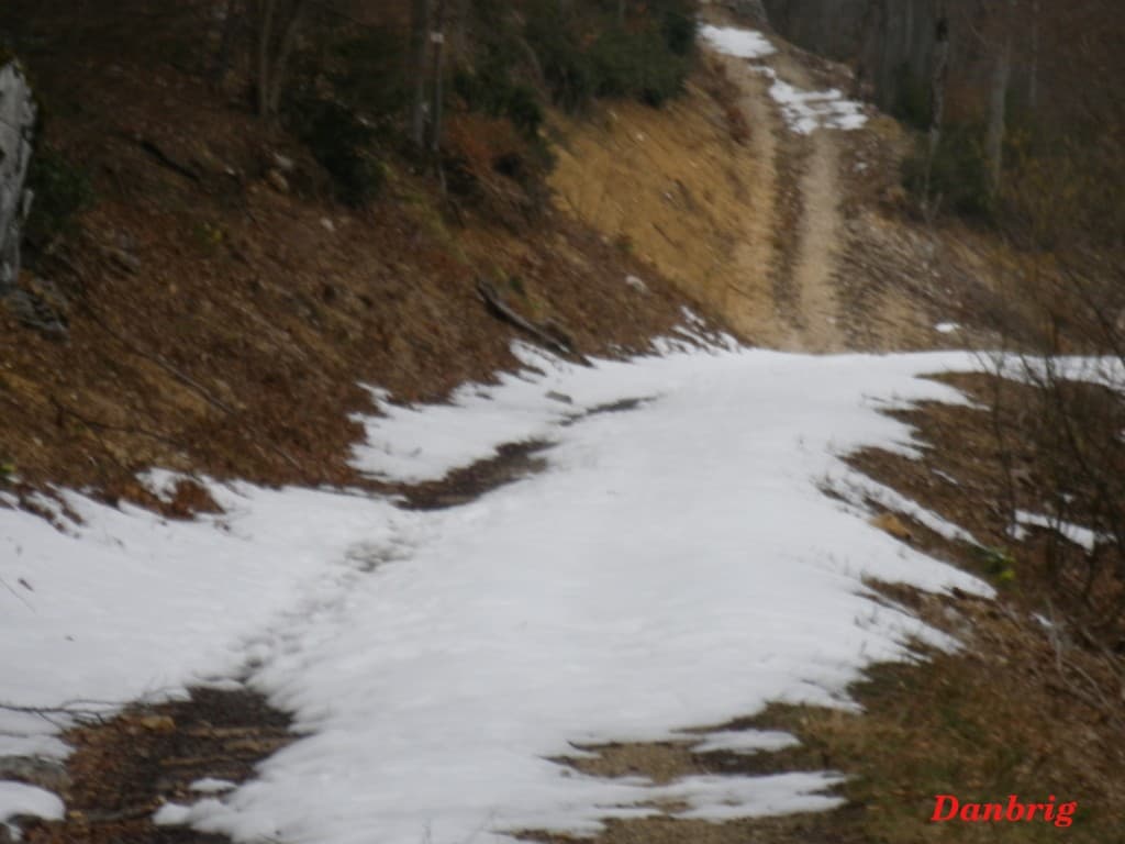 Petit  à petit,l'hiver s'enva.