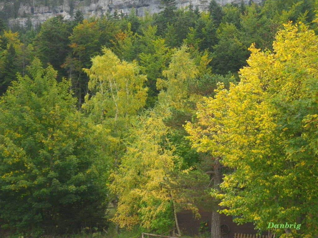 Prémices des ors l'automne!!