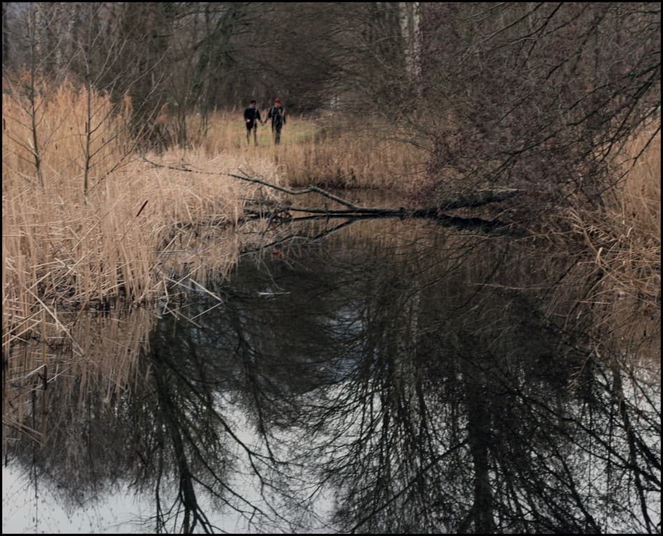 Promenons nous dans les bois...(EL)