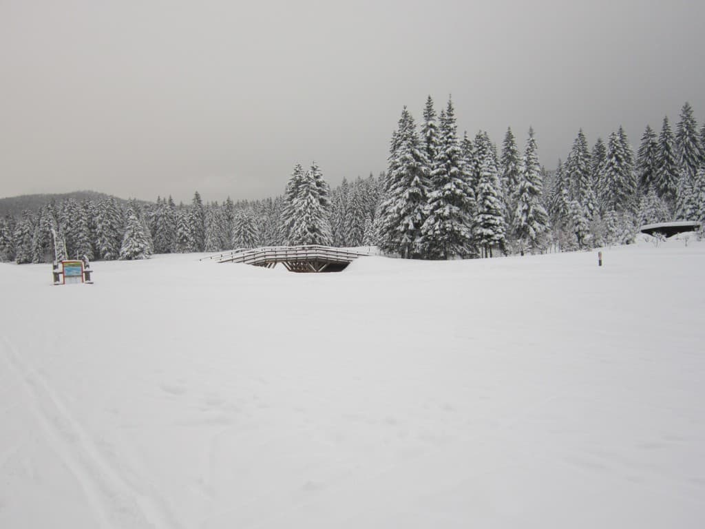 Que de neige!!!(N.M)