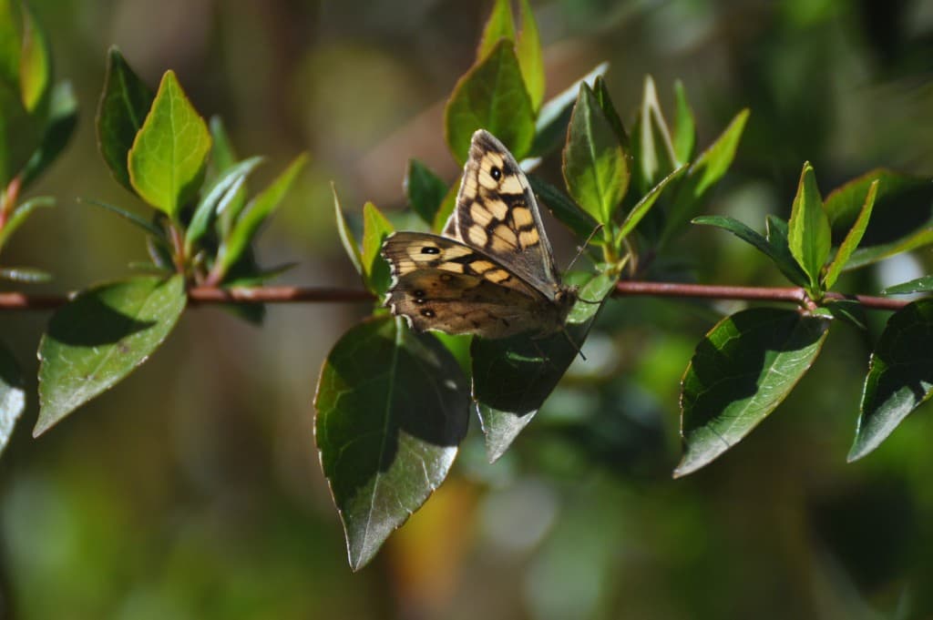 Que la nature est belle!!!!