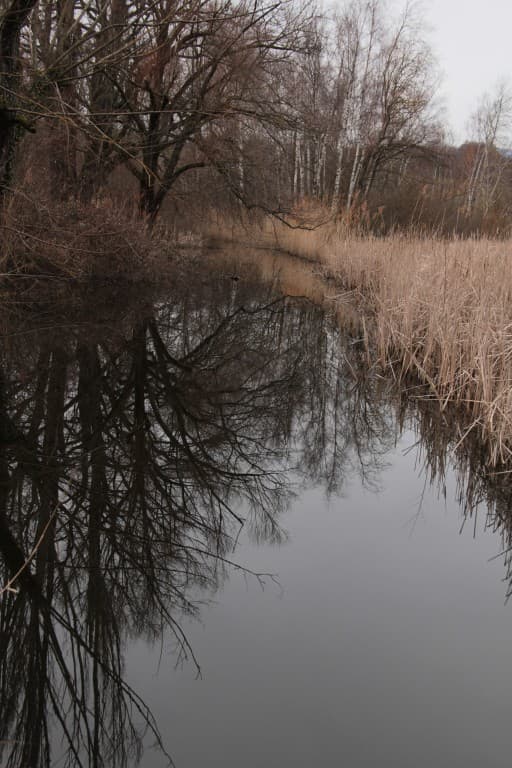 Reflets d'hiver (el)