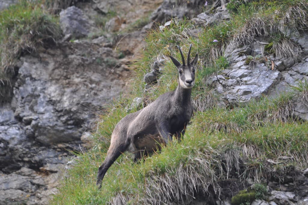 Rencontre nature !!!!!