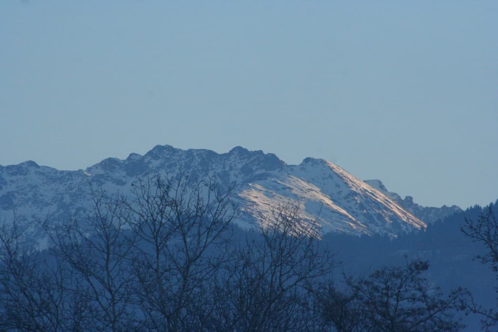 Simplement estivale (N.M)