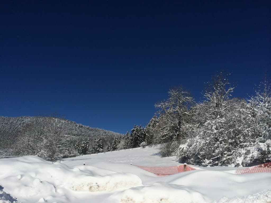 Splendide journée pour travailler 