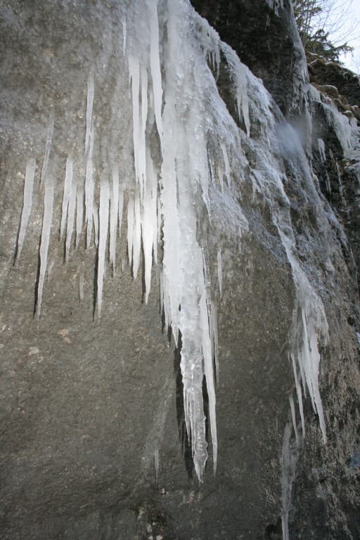 Un peu de glace dans votre boisson?