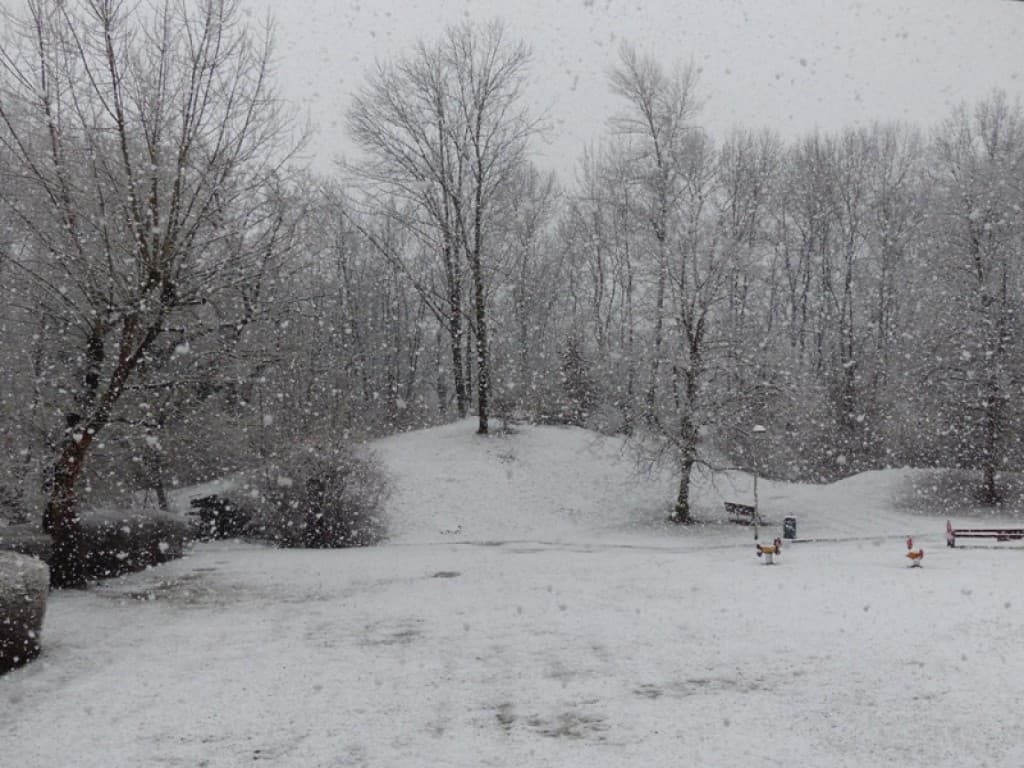 A gros ( très gros ) flocons