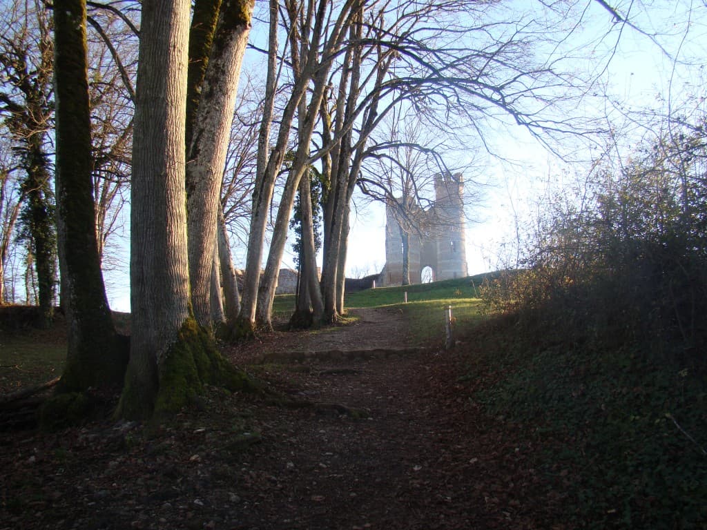 chateau de bressieux