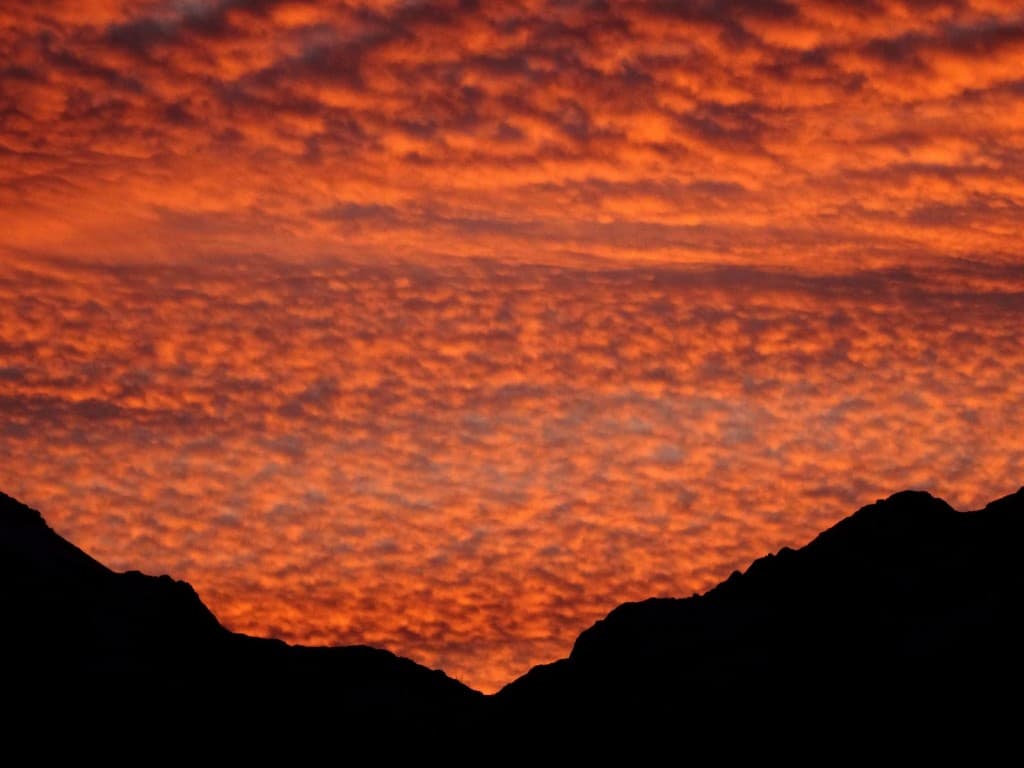 CIEL  FLAMBOYANT