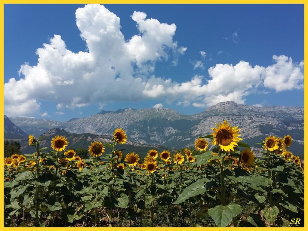 Col de l'Arc 