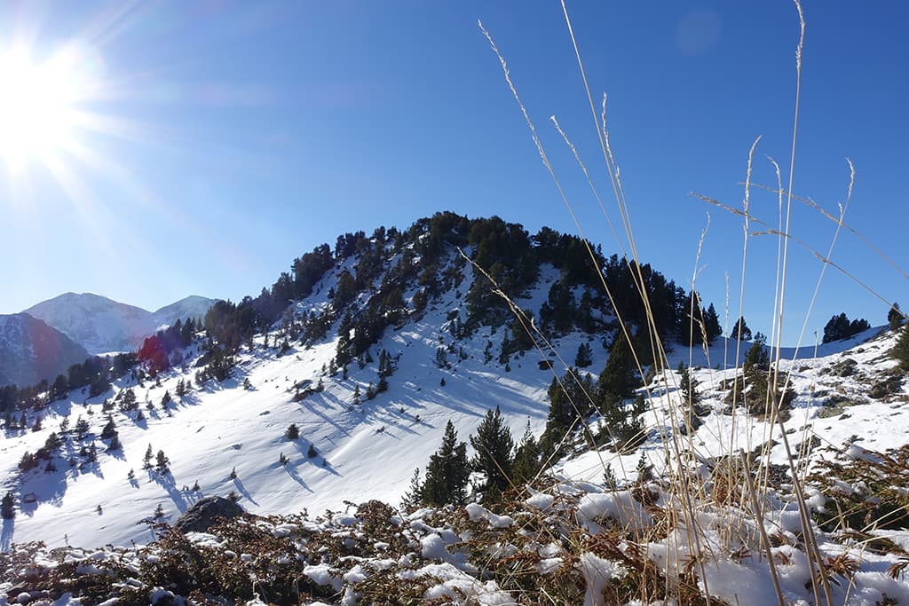 Col de l'Infernet