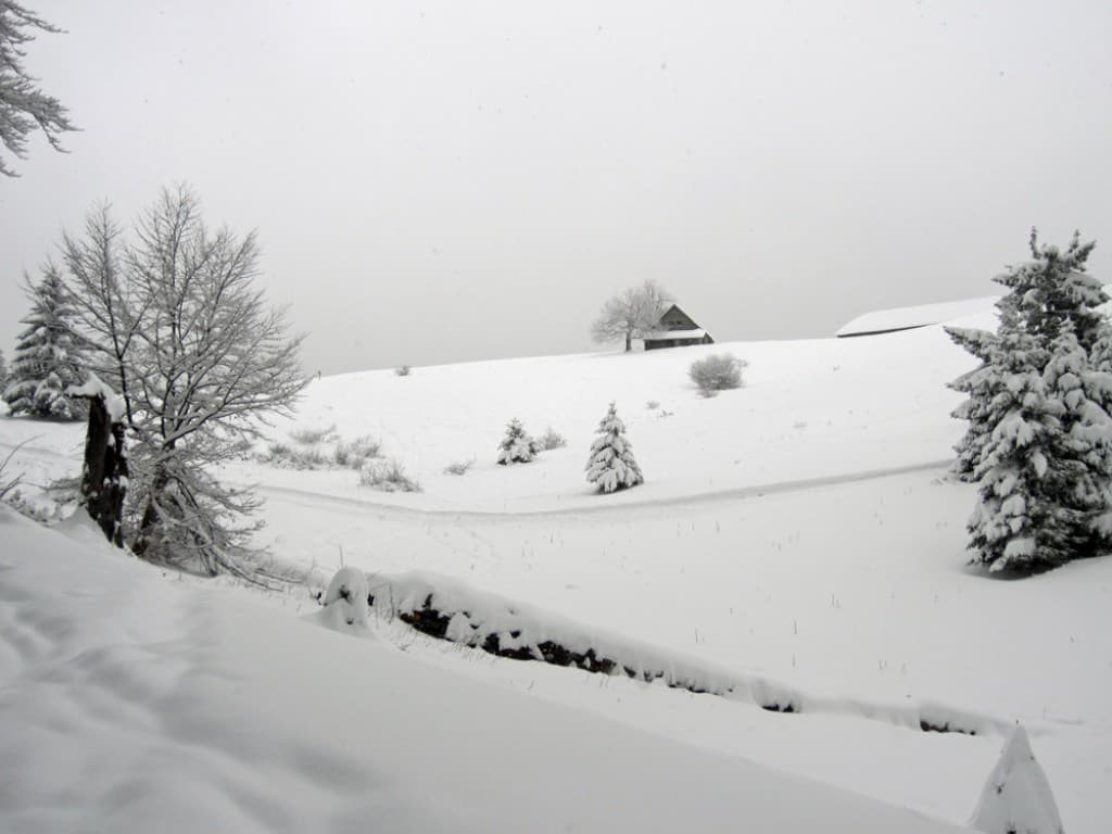 Emeindra du dessus - Chartreuse 