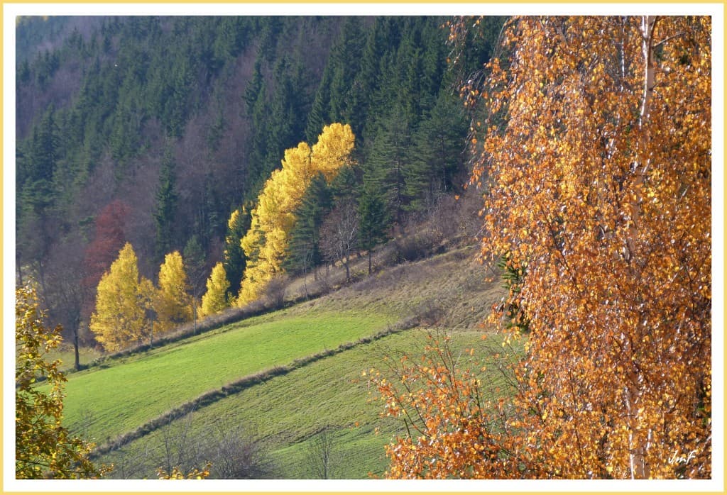 encore de belles couleurs