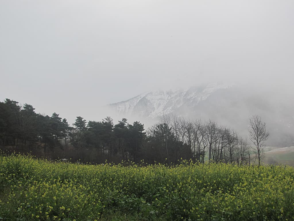 Fuite du brouillard
