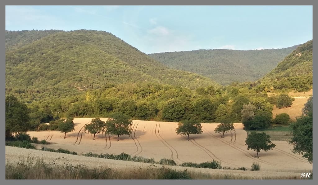 Géométrie dans les champs