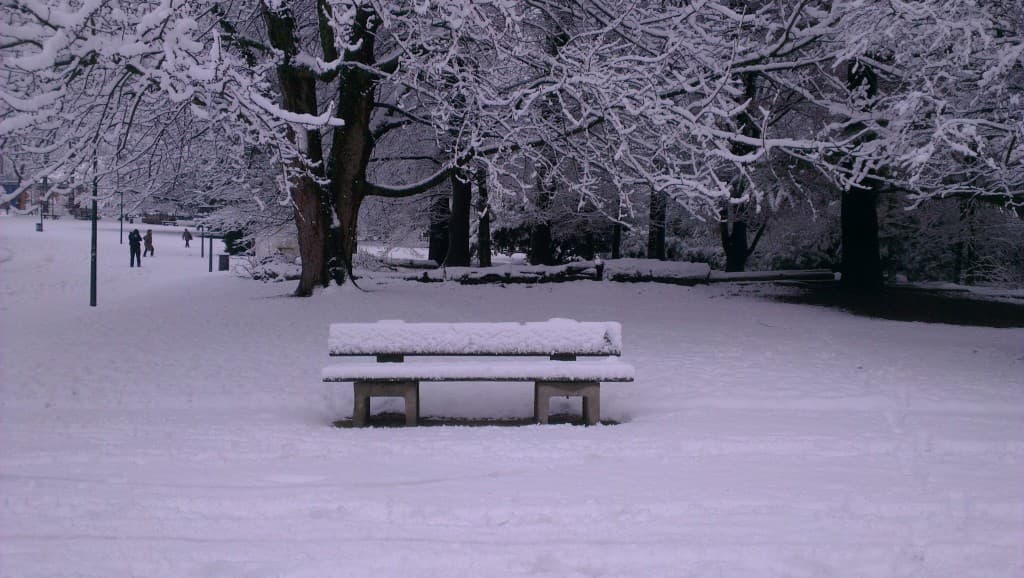 Grenoble sous  la neige