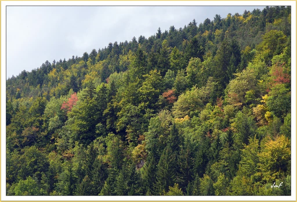 l'automne est précosse