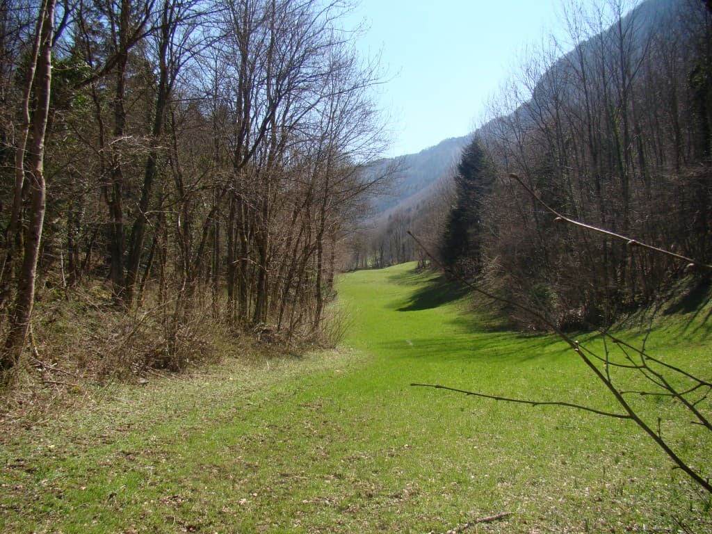 l'echaillon