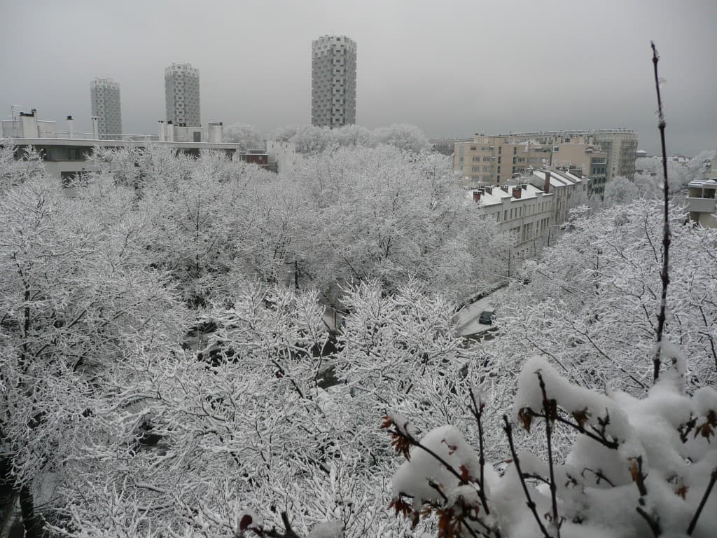 L'Ile Verte ce matin
